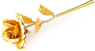 Golden Rose
